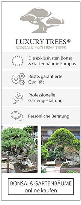 Luxurytrees.com - Bonsai & Gartenbäume online kaufen